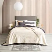 Renee Taylor Heston 480 GSM Ultra Soft Velvet Sherpa Blanket - STONE