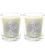 Qualitas Candles Fig Tree Two Scented Beeswax Candle Set
