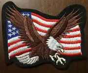 American Flag with Golden Eagle Patriotic patch