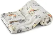 Disney Characters Flannel Fleece Baby Blanket - Soft & Cozy 30x40 Inches, Featuring Mickey Mouse, Minnie Mouse, Winnie The Pooh, and Dumbo