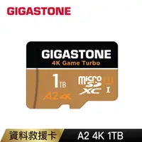 在飛比找PChome24h購物優惠-Gigastone 立達 資料救援 1TB microSDX