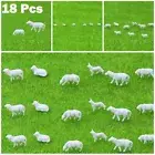 New Animals Model Sheep Sheep Animals Model Animals Model Farm Farm Animals