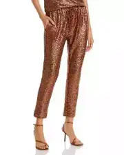Splendid L64508 Womens Walnut Brown Oxford Sequin Pull-On Pants Size XS