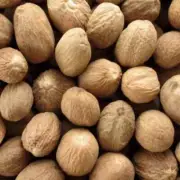 Organic Nutmeg (Jayphal) Standard Quality Kitchen Spicy Masala multiple using