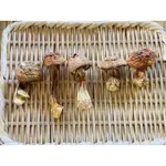 【美玉家商行】乾燥 巴西蘑菇/80克±5%