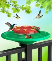 Hummingbird Feeders for Outdoors, Big Ant Moat Perch with 8 Bee Guard Feeding...