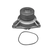 New Water Pump Fits Davco GP400-140 Any Year By 3973116 3964792 4089952 5291443