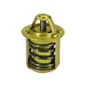 Thermostat Gilera Rcr 50 2003 403460190
