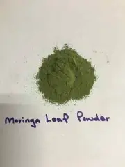 Moringa Leaf Powder 1.0 oz. bag