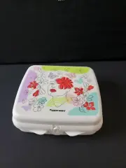 Tupperware Sandwich Keeper Eco+ Today Woman perfect for backpacks purses