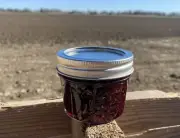 Homemade Mixed Berry Strawberry Blueberry Jam Preserves (4 Oz Jar)