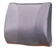 Bodyassist Deluxe Back Rest Cushion & Large Hot/Cold Gel Pack