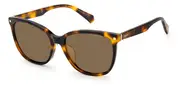 POLAROID-PLD 4113/F/S/X-86-5917-SUNGLASSES