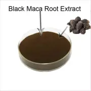 100g-500g Black Maca Root Powder Maca P.E. 30:1 Extract Powder Lepidium Meyenii