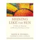 Shining Like the Sun: A Biblical Theology of Meeting God Face to Face