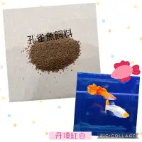 在飛比找蝦皮購物優惠-女王頭 快速出貨 📦【貝果果魚坊】孔雀魚 優質飼料-丹頂紅白