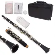 Professional Bb Clarinet Ebonite Body Nickel Plated Bb Key 17 key Two Barrels