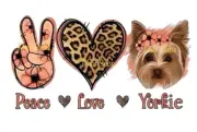 Sublimation Print Peace Love Yorkie Girl Ready To Press Heat Transfer