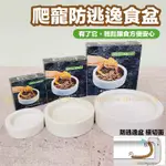 宏洋水族【爬寵 防逃食盆.餵食盆】爬蟲食盆 守宫食盆 守宮水盆 水盆 食盆陸龜 防逃食盆 陶瓷食盆 陸龜食盆 爬蟲水盆