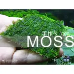 【魚草杰園】免CO2 莫斯 MOSS 鐵片 水草 1片  #三角莫斯 #聖誕莫斯 #莫斯水草 #莫絲 #陰性水草