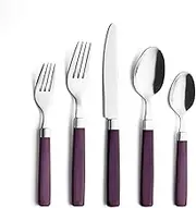 ANNOVA 20 Pieces Stainless Steel Flatware/Cutlery Set - Color Handles - 4 x Dinner Forks, 4 x Salad Forks, 4 x Dinner Knives, 4 x Dinner Spoons, 4 x Dessert Spoons - Service for 4 (Purple, 20 Pieces)