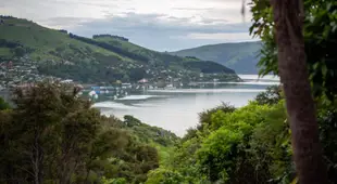 Overton Cottage - Akaroa Holiday Home