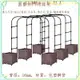 ［DL］☾✤♛拱門爬藤架 拱形花架溫室骨架黃瓜藤架 葡萄鐵線蓮架種植架種植箱