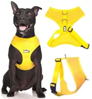 SUNBURST YELLOW - Medium Vest Harness