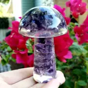 Amethyst orgone resin mushroom natural Crystal Healing Larger Gemstone