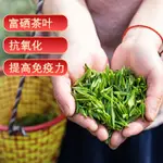 店長推薦【恩施玉露富硒茶】明前 2024年 新茶 高山雲霧炒青濃香型綠茶500G