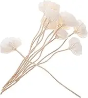 ABOOFAN Aroma Sticks Set Dried Diffuser Sticks for Aromatherapy in Kitchen Bedroom