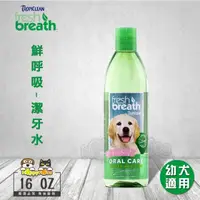 在飛比找momo購物網優惠-【Fresh breath 鮮呼吸】潔牙水-16oz/473