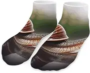 [QMNVBDS] A Photo of A Snail Socks Ankle Length Socks Casual Short Socks for Women Men Low Cut Sports Socks Running Socks No Show Socks Ankle Socks Athletic Socks Workout Socks, Style, One Size, Style