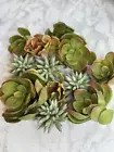 Artificial Succulent Plant Assortment Of 12 Plants