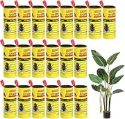 20PCS Fly Paper Strips, Joogee Sticky Fly Ribbons Traps Fly Tape Trap Ribbon Fly Bait Indoor Catcher for Fruit Flies, Gnat, Insect, Pest, Mosquito