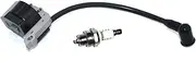 Ignition Coil Module With BM6A Spark Plug For STIHL FS38 FS55 FC55 FC55Z FC55-DZ FS46 FS45 HL45 HL45Z HL45-DZ HS45 HS45Z KM55 KM55RZ KM55C KM55R PN 4140 400 1308 1110 400 7005