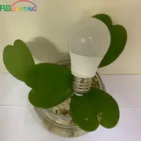 在飛比找蝦皮購物優惠-3w 防水蘑菇 LED 燈泡 RB LIGHTING 黃燈