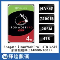 在飛比找蝦皮購物優惠-Seagate【IronWolf Pro】那嘶狼 4TB 3