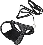 Generic 1 Set Pet Leash Puppy Leash Cat Harness Leash Puppy Harnesses Dog Harness Rope Dog Vest Leash with Collar Walking Training Leash Kitten Harness Rope Black Reflective Fabric