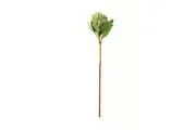 Hill Interiors Protea Protea Artificial Flower (Green) (One Size)
