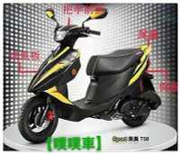 在飛比找Yahoo!奇摩拍賣優惠-【噗噗車】SUZUKI台鈴機車原廠車殼V125(忍者)全車系