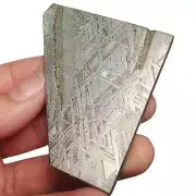 105g Muonionalusta meteorite part slice TC581
