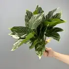 Green Plants Peacock Arrowroot Brazil Leaf Fake Plant Home Garden Decor