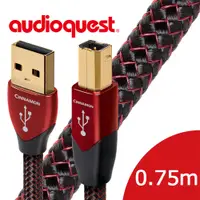 在飛比找PChome24h購物優惠-美國線聖 Audioquest USB-Digital Au