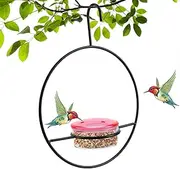 yupeuooe Metal Hummingbird Feeders - Iron Hummingbird Feeder | Bee-Proof Leak-Proof Feeding Decoration, Metal Stand Hanger, Canary Perch for Backyard Garden Patio Window Deck Wildlife