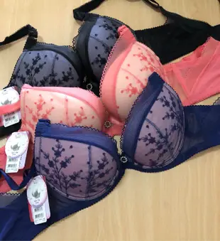 瑪登瑪朵 反正都美bra-75B.75C.80D.75E.80E.85E.90E.85F