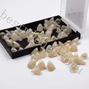 Dental Front Temporary Crown Material Polycarbonate Cap Anterior Teeth 55 pc/box