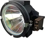 R9842020 Projector Lamp with Housing for BAR-CO CDG67 DL CDG80 DL MDG50 DL OVERV-IEW D1 FD70-DL ETC