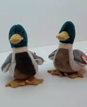 TY BEANIE BABIES "JAKE" THE DUCK(S), 1997, RETIRED, RARE, ERRORS