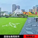 客製 人造仿真草坪露營地專用庭院地墊遊樂場綠化地毯草室外假草皮鋪地